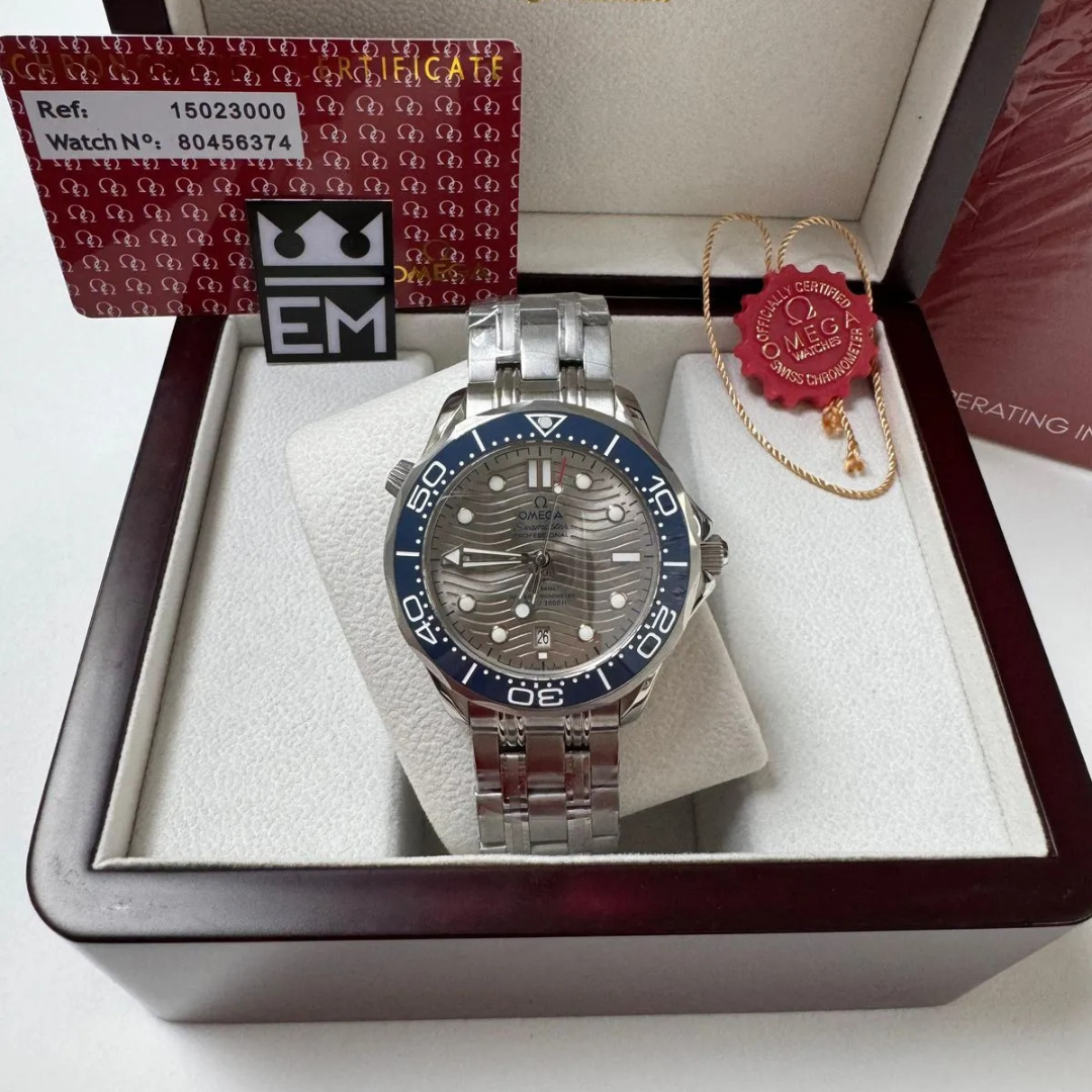 Omega Seamaster Professional – Gray/Blue