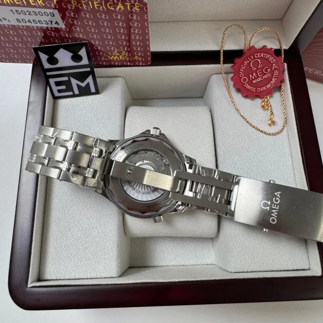 Omega Seamaster Professional – Blue/Steel