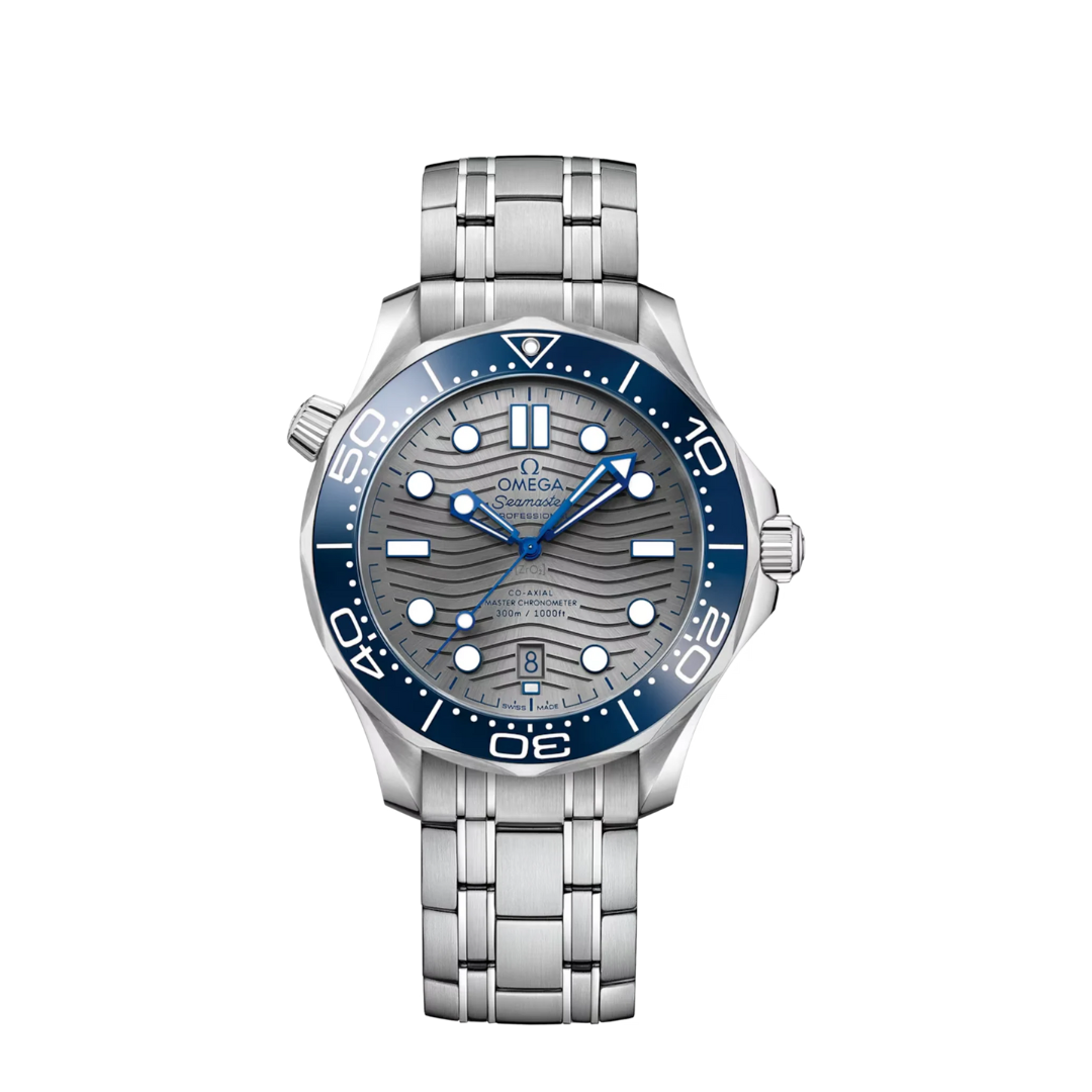 Omega Seamaster Professional – Gray/Blue