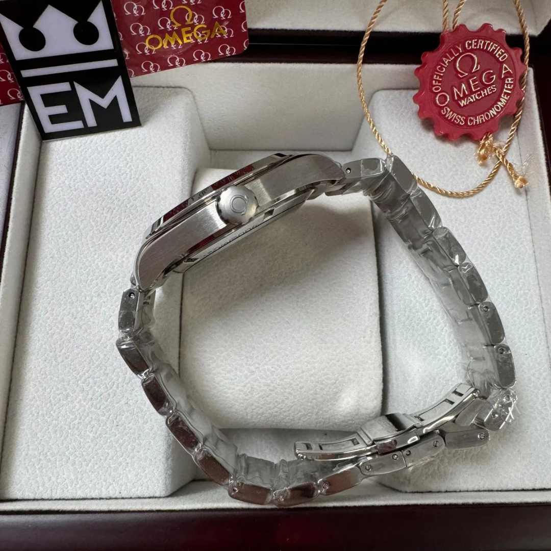 Omega Seamaster Aqua Terra Silver