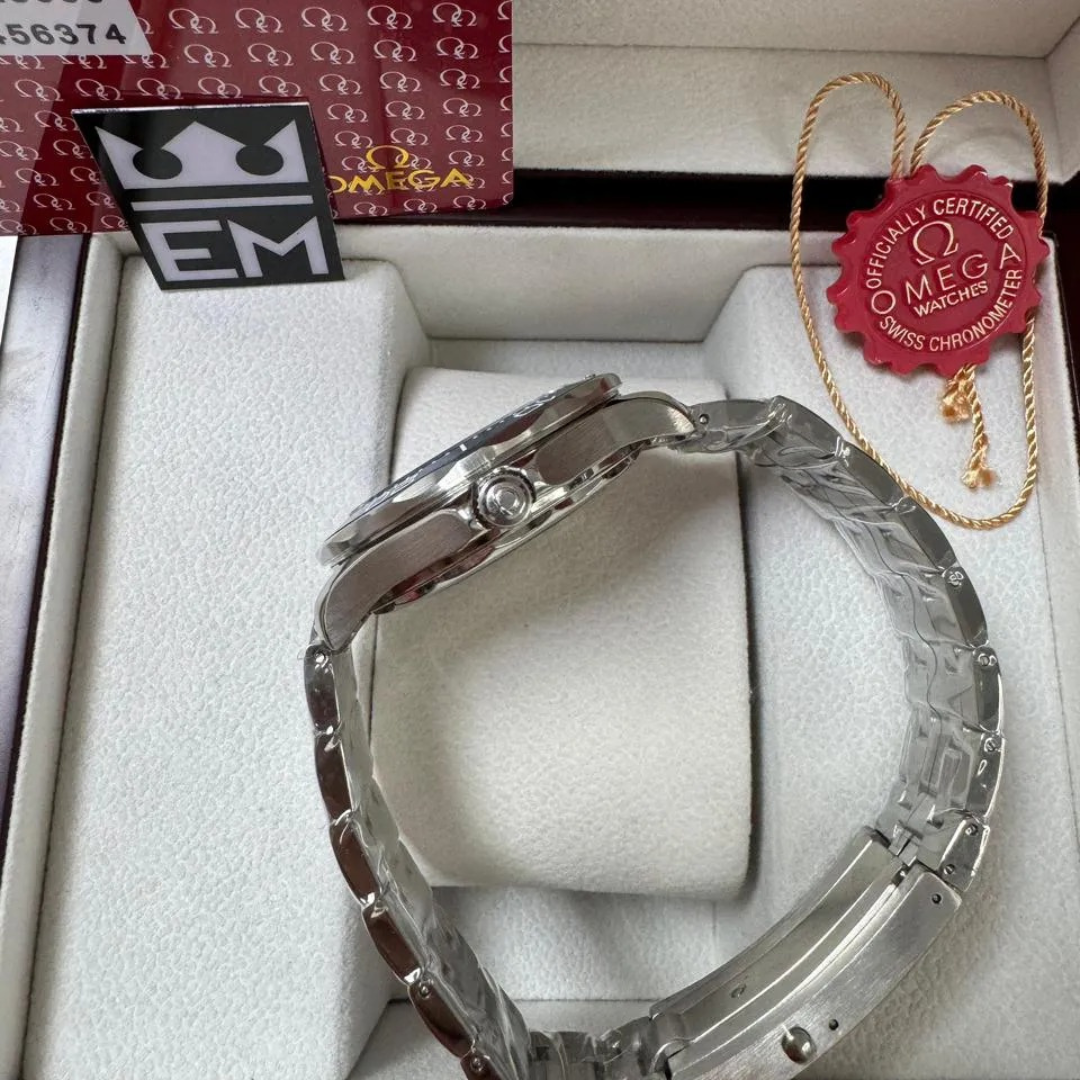 Omega Seamaster Professional – Blue/Steel