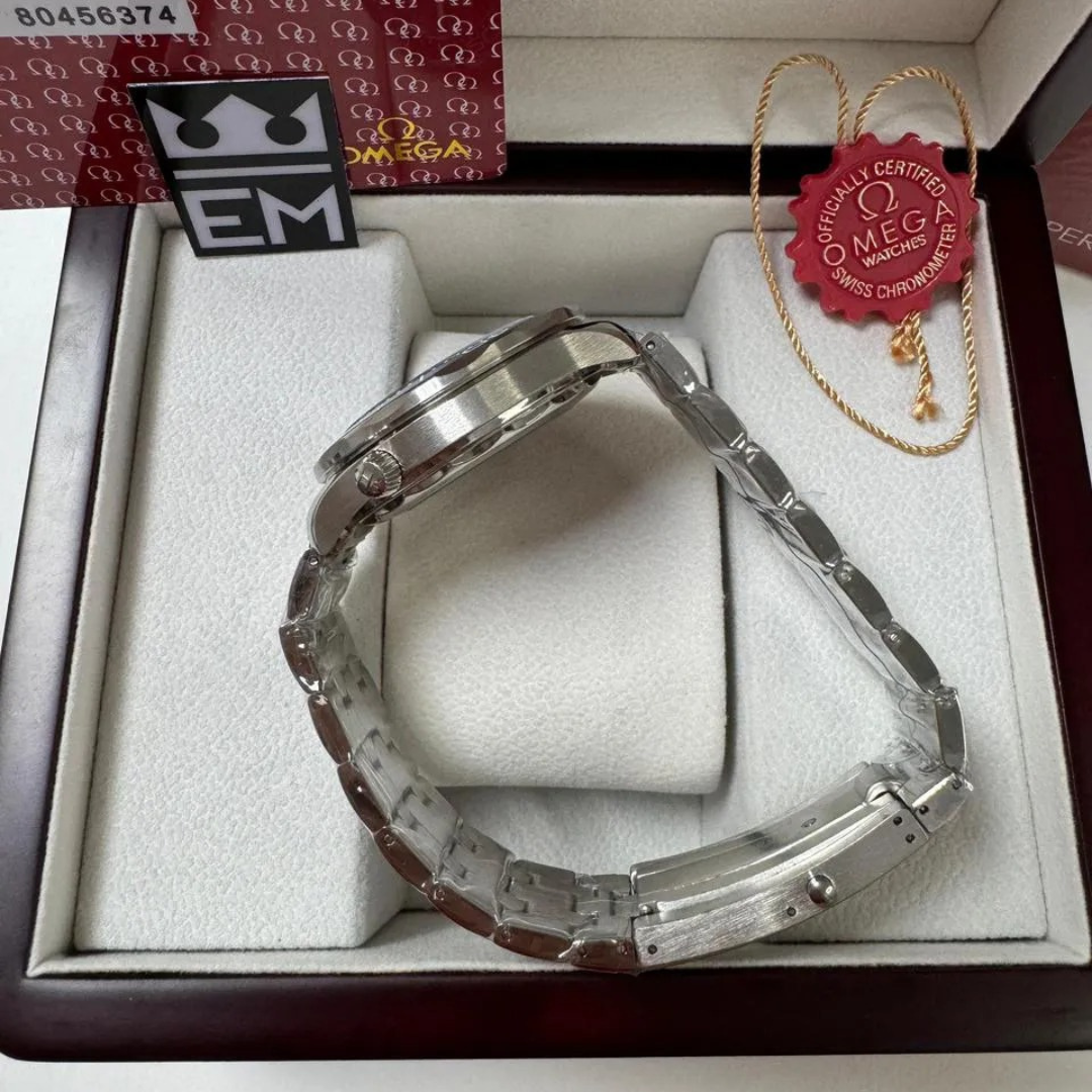 Omega Seamaster Professional – Gray/Blue