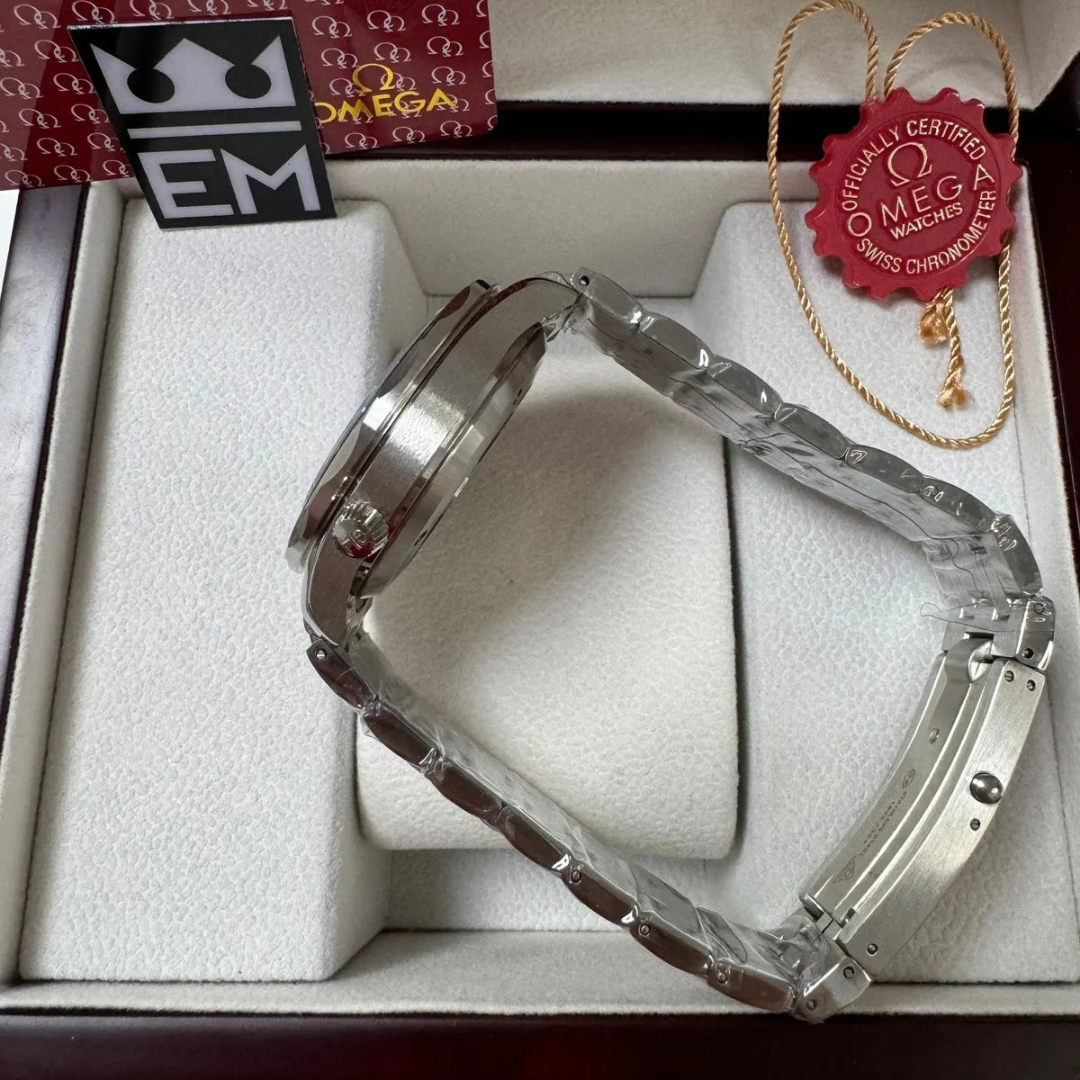 Omega Seamaster Professional – Black 'Waves Dial'